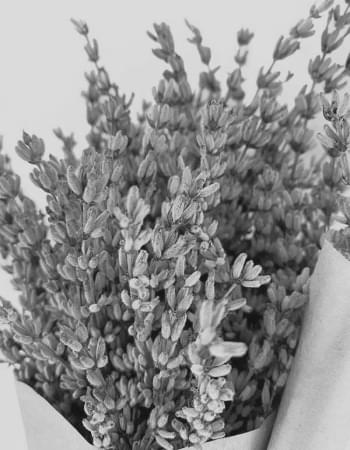 Букет Лучший День